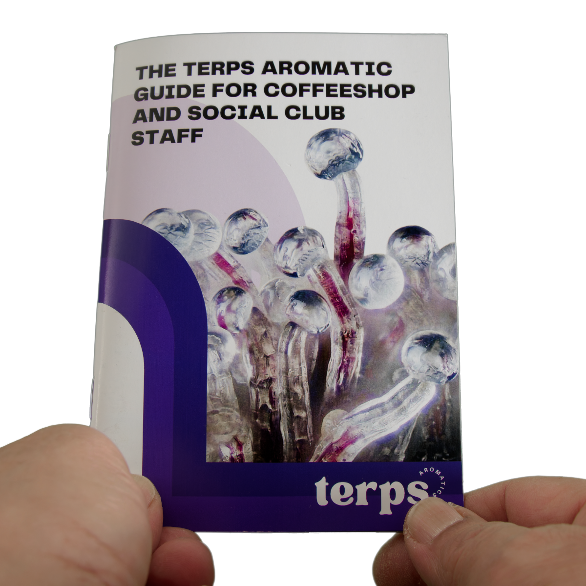 TERPS Aroma Kit - Image 2