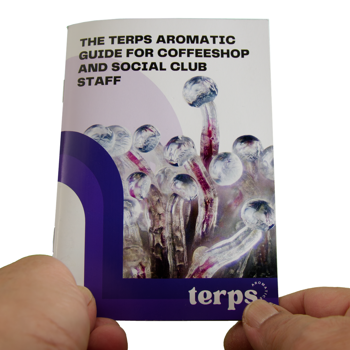 TERPS Aroma Kit - Image 4