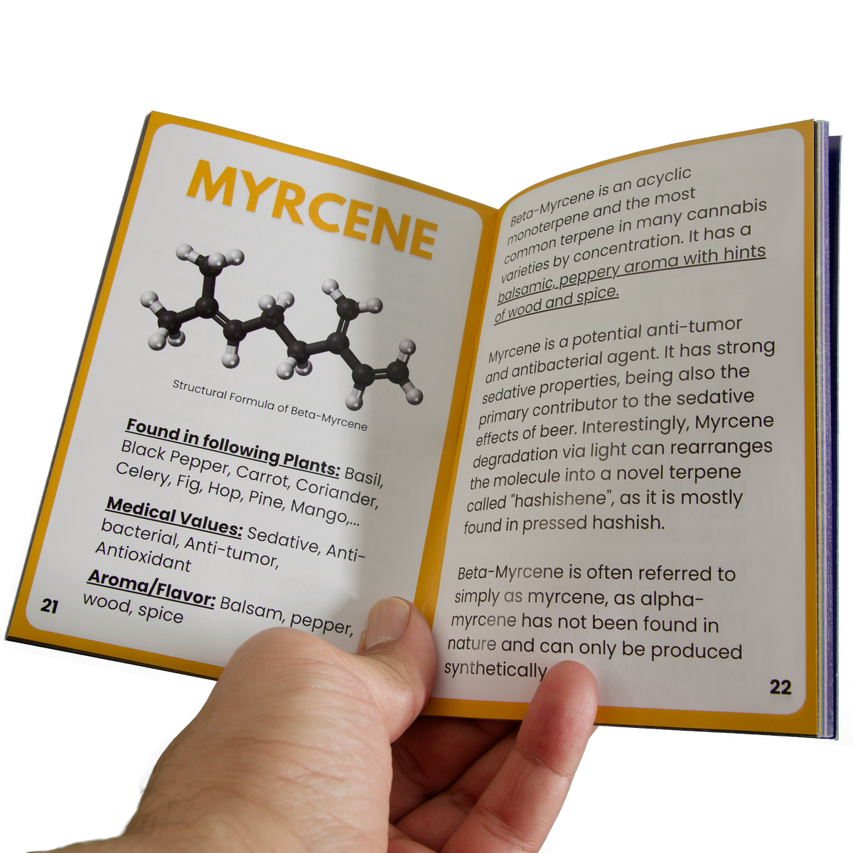 TERPS Aroma Kit - Image 5